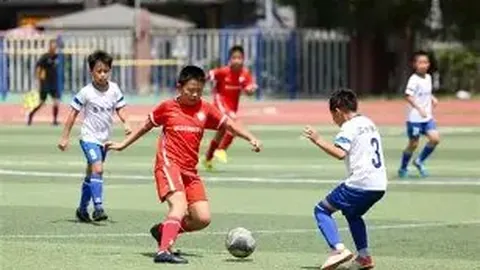 “曼联难题：低薪比例下难掩高薪低效，根源揭晓”